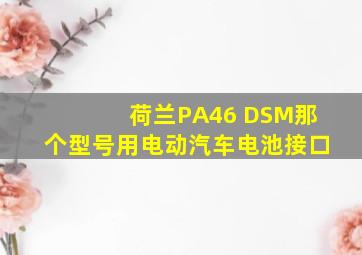 荷兰PA46 DSM那个型号用电动汽车电池接口